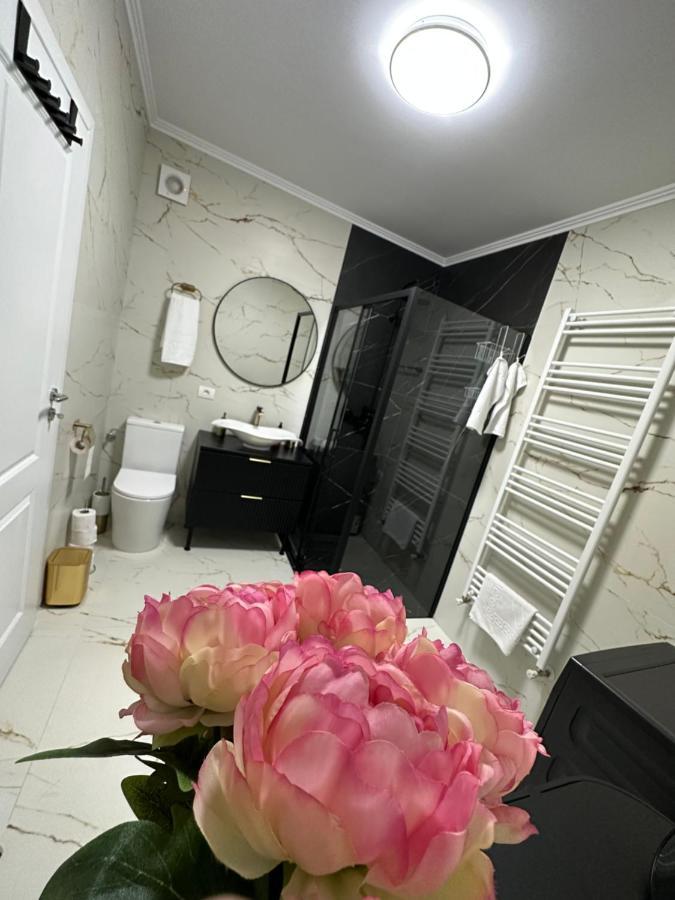 Apartament Bisera Тімішоара Екстер'єр фото